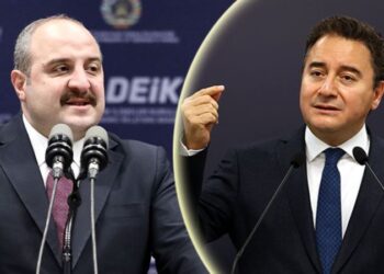 Bakan Varank’tan Babacan’a ‘köpek’ benzetmesi