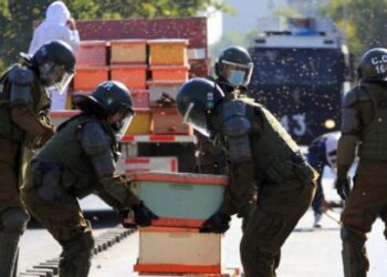 Arıcıların eylemine müdahale eden polisleri arılar soktu