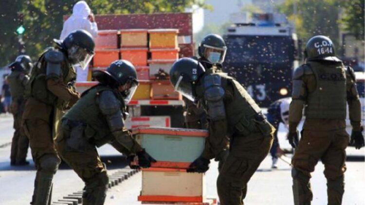 Arıcıların eylemine müdahale eden polisleri arılar soktu