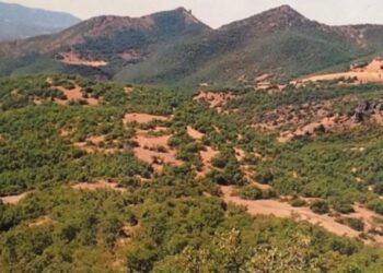 Tunceli’de katı atık tesisi için 55 bin ağaç kesilecek
