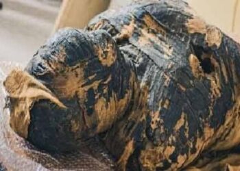 2 bin yıllık hamile mumyanın içindeki fetüs incelendi! İlginç sonuçlar