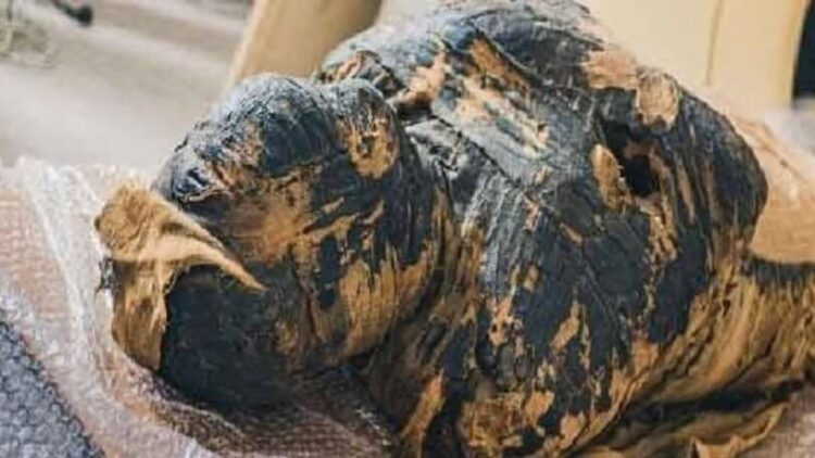 2 bin yıllık hamile mumyanın içindeki fetüs incelendi! İlginç sonuçlar