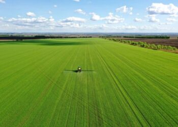 Çin’in Heilongjiang eyaleti, 2022’de soya fasulyesi ekim alanlarını genişletmeyi hedefliyor