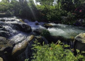 Çin, toprak ve yeraltı suları kirliliğini kontrol etme planını açıkladı