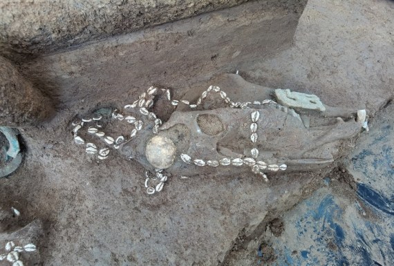 Çin’in orta kesiminde 3 bin yıllık klan mezarlığı ortaya çıkarıldı