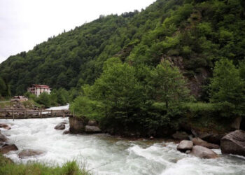 Korkutan açıklama: ‘Su stresi’ başlayacak