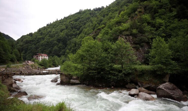 Korkutan açıklama: ‘Su stresi’ başlayacak