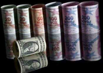 Banka devinden TL için endişelendiren öngörü