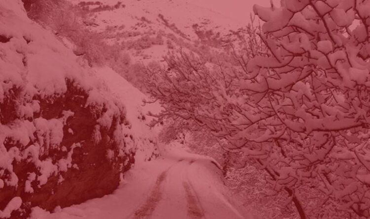 Afgan anne donarak yaşamını yitirdi: Van Valiliği’nden açıklama