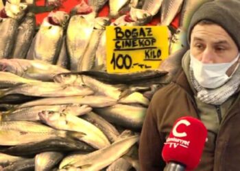 Balık fiyatları uçtu: ”Millet uzaktan bakıyor”