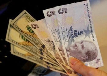 Zelyut’tan korkutan dolar tahmini: ‘Önce 14 sonra 18 aşılacak’