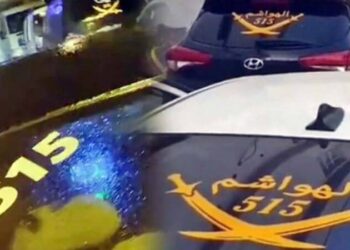 Kim bu elde satır, 515 rakamıyla gezenler?