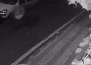 Otizmli gencin köpeğini pitbull zannederek silahla vurdu