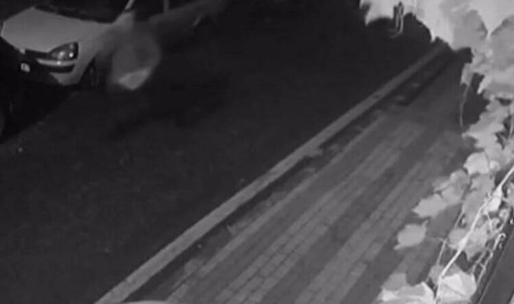 Otizmli gencin köpeğini pitbull zannederek silahla vurdu