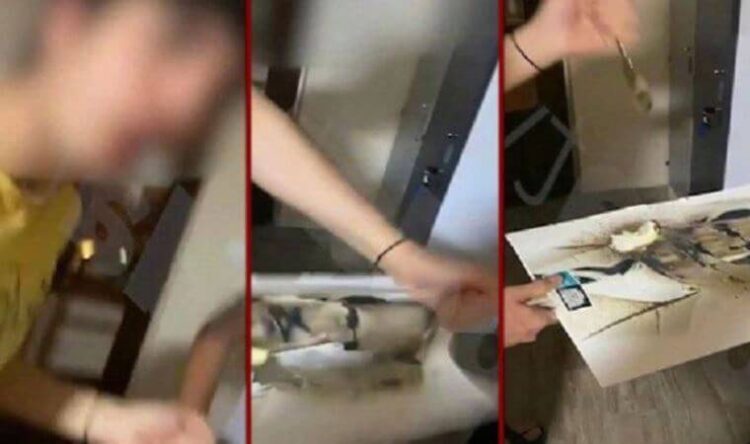 Büyük tepki toplamıştı: Atatürk portresine zarar verilmesine soruşturma