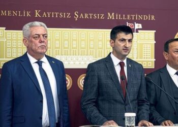 Memleket Partisi de Sezen Aksu’yu hedef aldı