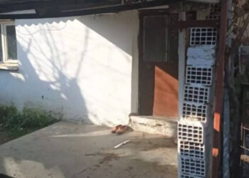 94 yaşındaki dede, torununu öldürdü