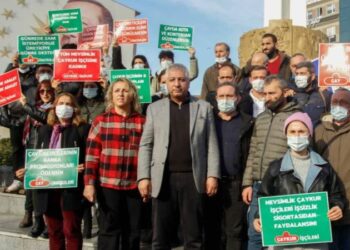 Mevsimlik ÇAYKUR işçilerinin kadro isyanı