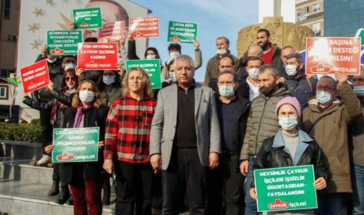 Mevsimlik ÇAYKUR işçilerinin kadro isyanı