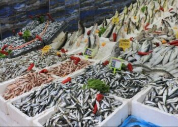 Balık tezgâhlarına fırtına etkisi