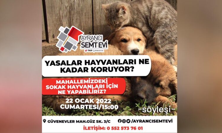 Ayrancı Semtevi’nde sokak hayvanları için buluşma…