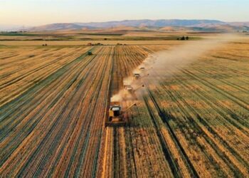 Tarımda büyük vurgun iddiası