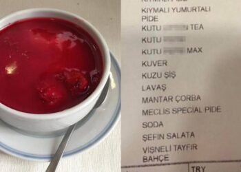 Binali Yıldırım geri getirmişti; Vişneli Tayfır ismi hem TT’de hem Meclis’te