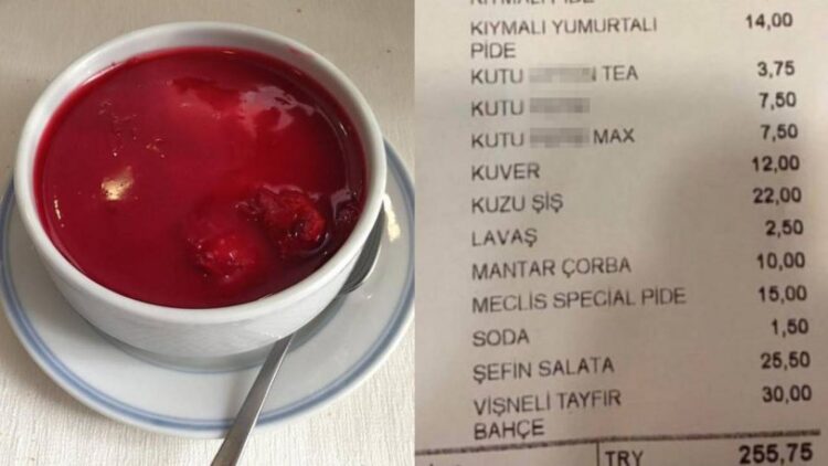 Binali Yıldırım geri getirmişti; Vişneli Tayfır ismi hem TT’de hem Meclis’te