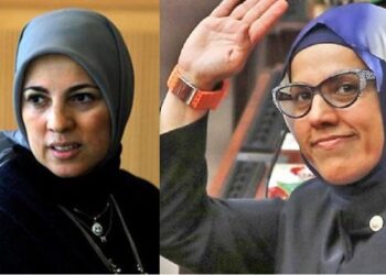 ‘Kavakçı kardeşler skandalı’ büyüyor: Tezleri birebir aynı çıktı!