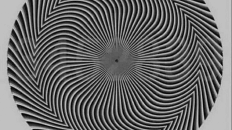 Sosyal medya bu illüzyonu konuşuyor: Hangi rakamları görüyorsunuz?