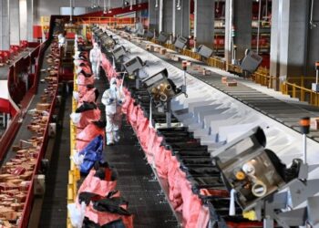 Çin’in posta sektörü Çin Yeni Yılı tatili boyunca istikrarlı büyüme kaydetti