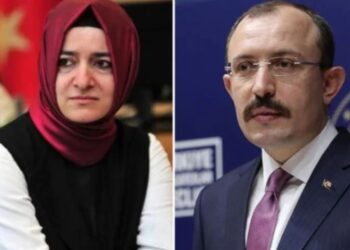 DİAYDER davasında Mehmet Muş ve Betül Sayan ayrıntısı