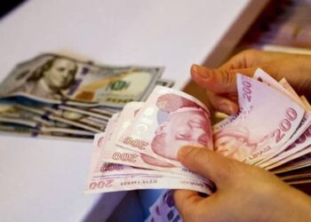 Merkez Bankası’ndan dolar ve enflasyon tahmini