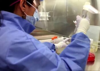 İlk kez bir kadın, kök hücre nakliyle HIV’i atlattı