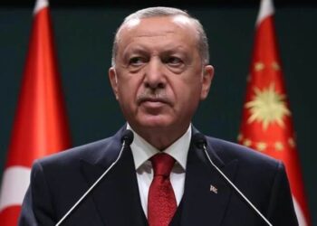 Şentop’tan cumhurbaşkanlığı adaylığı açıklaması: ‘Makale yayınlayacağım’