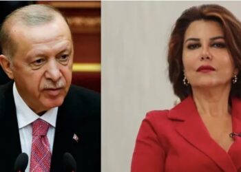 Erdoğan’dan gazeteci Sedef Kabaş’a 250 bin TL’lik tazminat davası