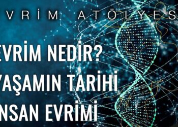 Nazım Hikmet Kültür Merkezi’nde evrim atölyesi…