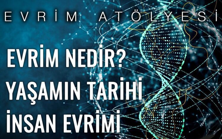 Nazım Hikmet Kültür Merkezi’nde evrim atölyesi…