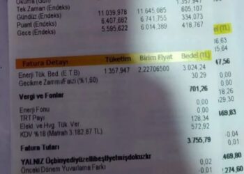 SOL Parti kampanya başlattı: Elektrik faturaları davalık oluyor