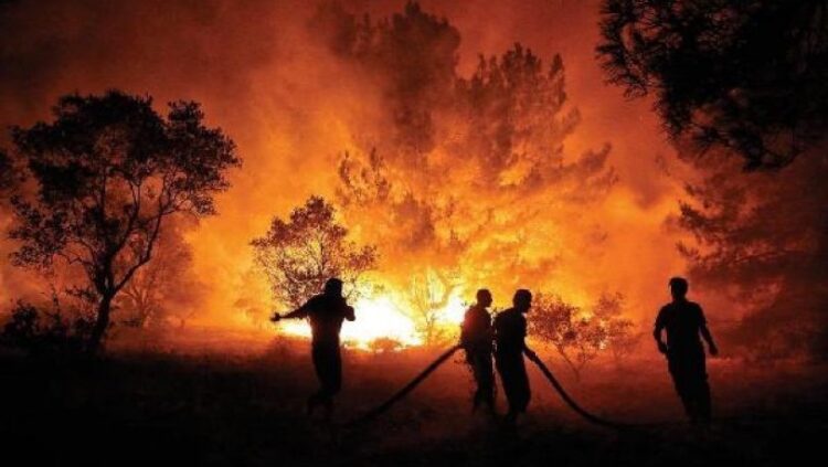 Soma’da orman yangını