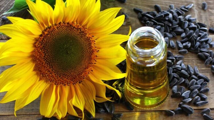 Yağ krizinde son durum: Ayçiçek yağı ve fiyatları ile ilgili yeni açıklama!