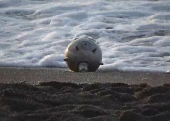 Rusya’dan Türkiye’ye ‘acil’ uyarı: Mayınlar oraya sürükleniyor…