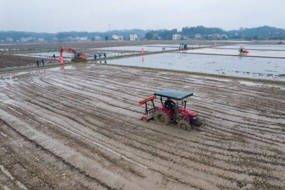 Çin tahıl yetiştiricilerine 20 milyar yuanlık sübvansiyon sağladı