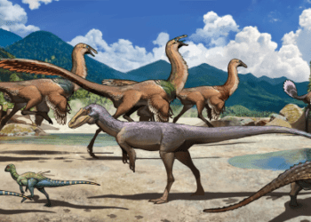 Bilim insanları Çin’in kuzeydoğusunda bir dinozor faunasının çeşitliliğini doğruladı