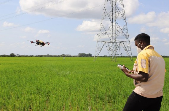 South China Morning Post: Çin pazarına daha fazla Afrika tarım ürünü girecek