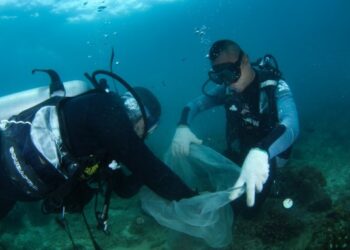 Çinli bilim insanları, plastiği parçalayabilen deniz mantarı keşfetti