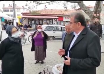 Üretici dert yandı: ‘Zeytinlerimiz var kuruyor, gübre alıp atamadık’