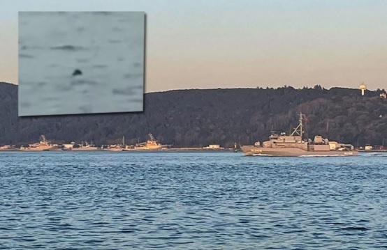 Cem Gürdeniz: “Ukrayna savaş suçu işleyen ülke durumuna düşebilir”