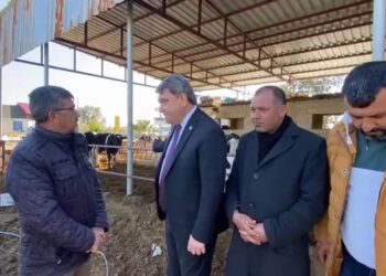 Gökçel: Bir litre süt 600 gram yem etmiyor