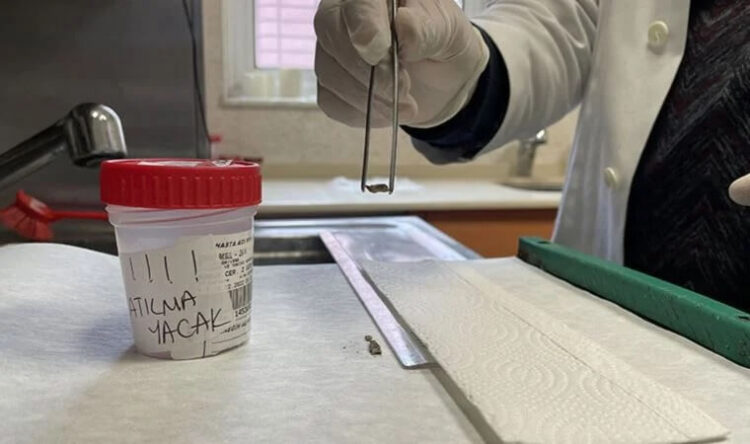 Doktor ‘kanser’ demişti, hayatının şokunu yaşadı